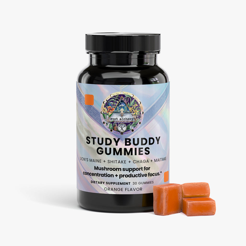 Study Buddy Gummies for Concentration + Productive Focus