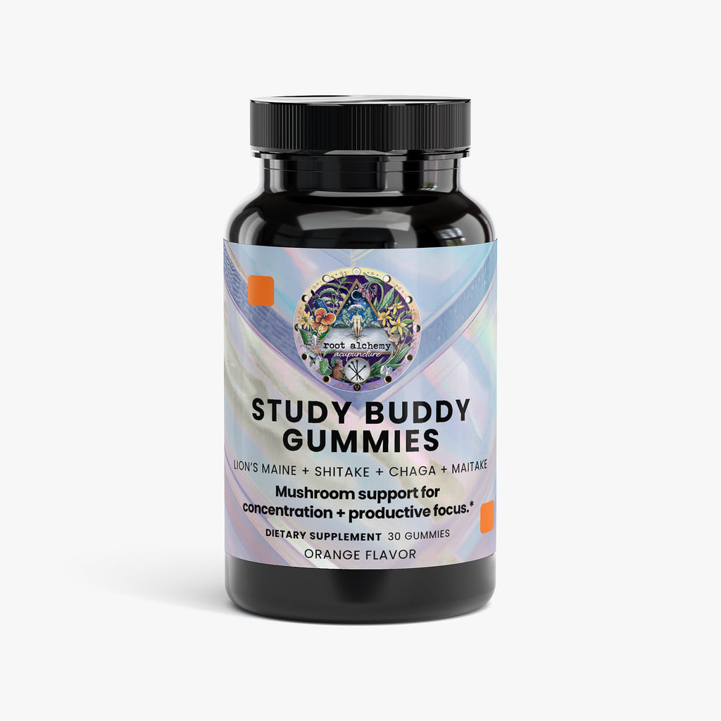 Study Buddy Gummies for Concentration + Productive Focus