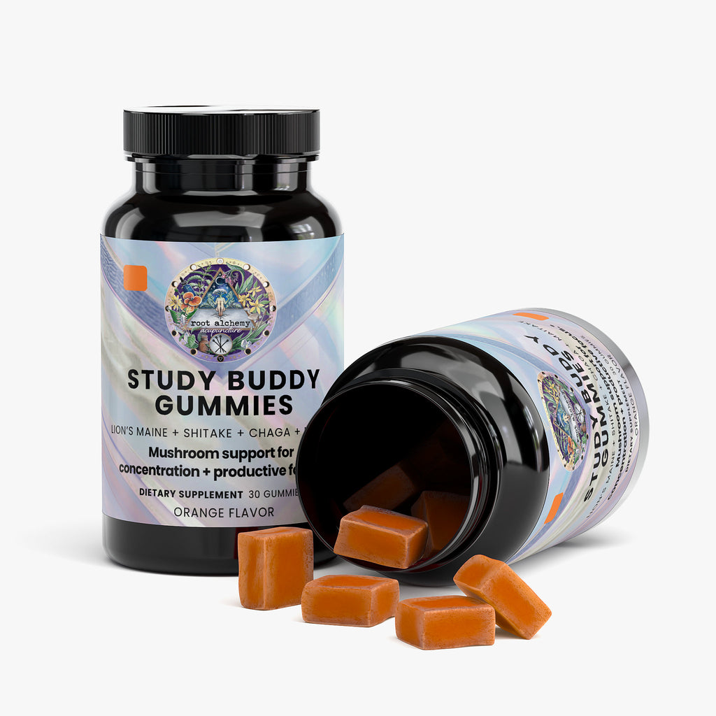 Study Buddy Gummies for Concentration + Productive Focus