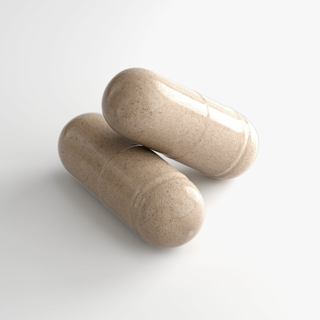 Grounded Energy for Vitality + Natural Energy Support
